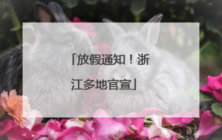 放假通知！浙江多地官宣