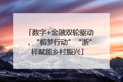 数字+金融双轮驱动，“栀梦行动”“浙”样赋能乡村振兴