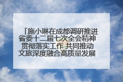 施小琳在成都调研推进省委十二届七次全会精神贯彻落实工作 共同推动文旅深度融合高质量发展 加快打造支柱产业民生产业幸福产业