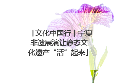 文化中国行｜宁夏 非遗展演让静态文化遗产“活”起来