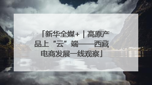 新华全媒+｜高原产品上“云”端——西藏电商发展一线观察