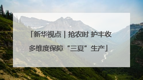 新华视点｜抢农时 护丰收 多维度保障“三夏”生产