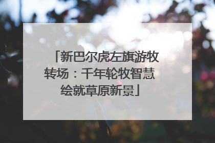 新巴尔虎左旗游牧转场：千年轮牧智慧绘就草原新景