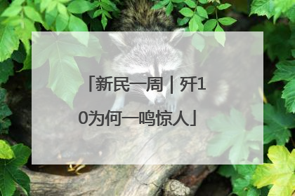 新民一周｜歼10为何一鸣惊人