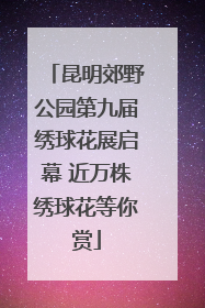 昆明郊野公园第九届绣球花展启幕 近万株绣球花等你赏