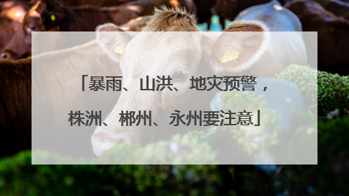 暴雨、山洪、地灾预警，株洲、郴州、永州要注意