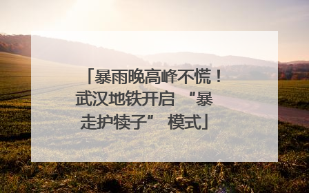 暴雨晚高峰不慌！武汉地铁开启 “暴走护犊子” 模式