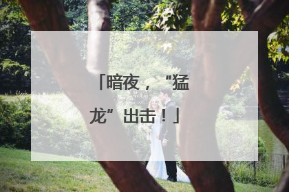 暗夜，“猛龙”出击！