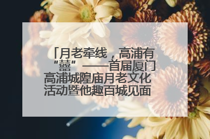 月老牵线,高浦有“囍”——首届厦门高浦城隍庙月老文化活动暨他趣百城见面会隆重举办
