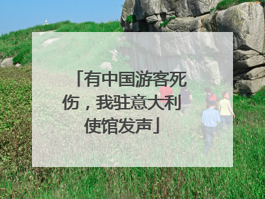 有中国游客死伤，我驻意大利使馆发声