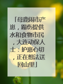 母鹿闹市产崽，踢伤提供水和食物市民，大连动保人士：护崽心切，正在想法送回山里