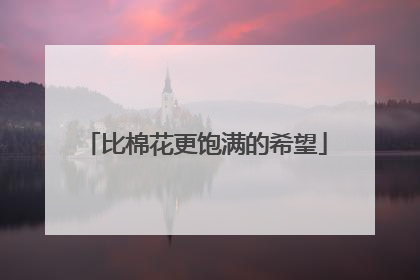 比棉花更饱满的希望