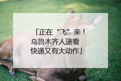 正在“飞”来！乌鲁木齐人速看 快递又有大动作