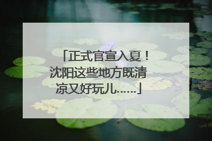 正式官宣入夏！沈阳这些地方既清凉又好玩儿……