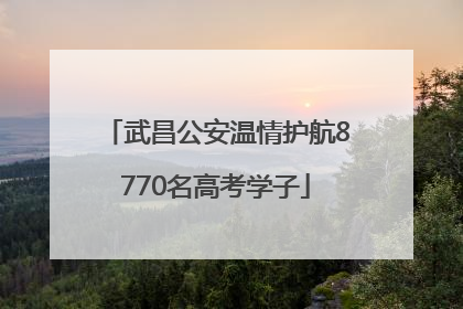 武昌公安温情护航8770名高考学子
