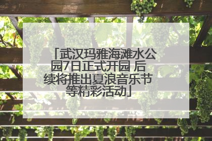 武汉玛雅海滩水公园7日正式开园 后续将推出夏浪音乐节等精彩活动
