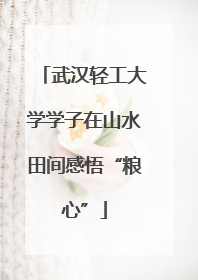 武汉轻工大学学子在山水田间感悟“粮心”