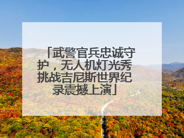 武警官兵忠诚守护，无人机灯光秀挑战吉尼斯世界纪录震撼上演