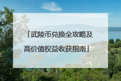 武陵币兑换全攻略及高价值权益收获指南