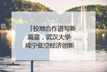 校地合作谱写新篇章，武汉大学·咸宁低空经济创新研究院签约成立