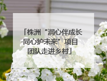 株洲“润心伴成长·同心护未来”项目团队走进乡村