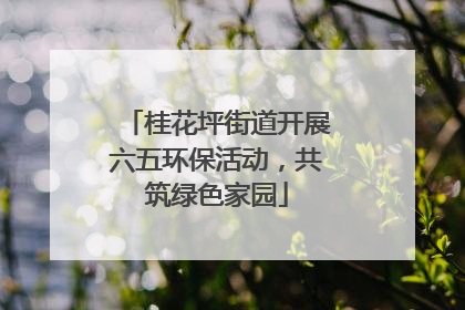 桂花坪街道开展六五环保活动，共筑绿色家园
