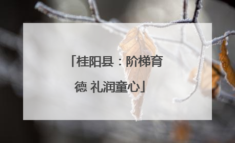 桂阳县：阶梯育德 礼润童心
