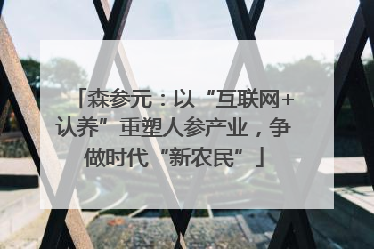 森参元：以“互联网+认养”重塑人参产业，争做时代“新农民”