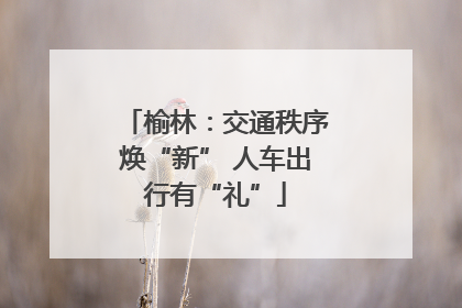 榆林：交通秩序焕“新” 人车出行有“礼”