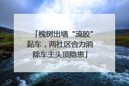 槐树出墙“滴胶”黏车，两社区合力消除车主头顶隐患