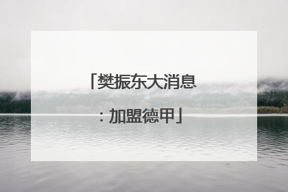 樊振东大消息：加盟德甲