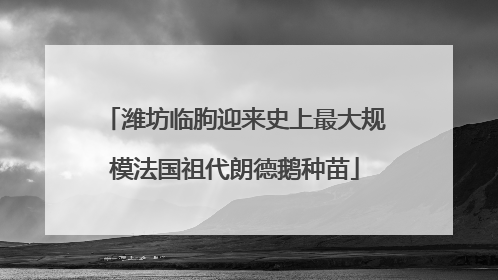 潍坊临朐迎来史上最大规模法国祖代朗德鹅种苗