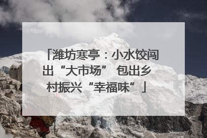 潍坊寒亭：小水饺闯出“大市场” 包出乡村振兴“幸福味”
