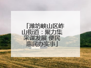 潍坊峡山区岞山街道：聚力集采谋发展 便民惠民办实事