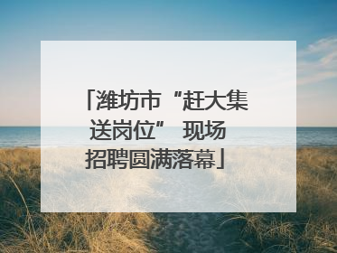 潍坊市“赶大集 送岗位” 现场招聘圆满落幕