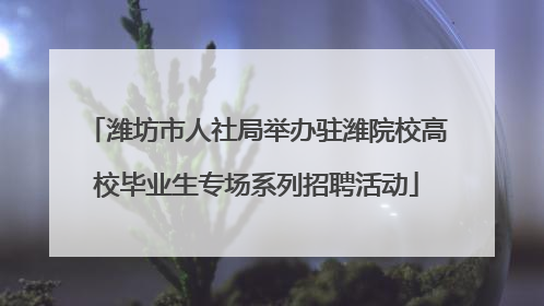 潍坊市人社局举办驻潍院校高校毕业生专场系列招聘活动