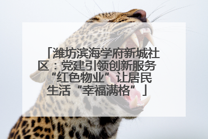 潍坊滨海学府新城社区：党建引领创新服务 “红色物业”让居民生活“幸福满格”