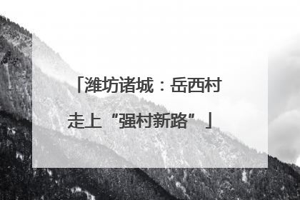 潍坊诸城：岳西村走上“强村新路”