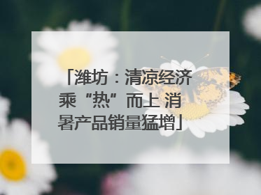 潍坊：清凉经济乘“热”而上 消暑产品销量猛增