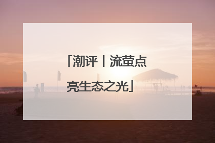 潮评丨流萤点亮生态之光
