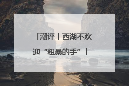 潮评丨西湖不欢迎“粗暴的手”
