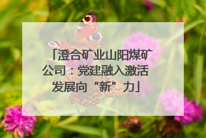 澄合矿业山阳煤矿公司：党建融入激活发展向“新”力