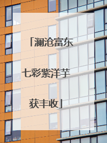 澜沧富东七彩紫洋芋获丰收