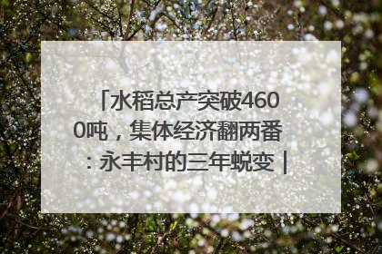 水稻总产突破4600吨，集体经济翻两番：永丰村的三年蜕变｜您牵挂的四川