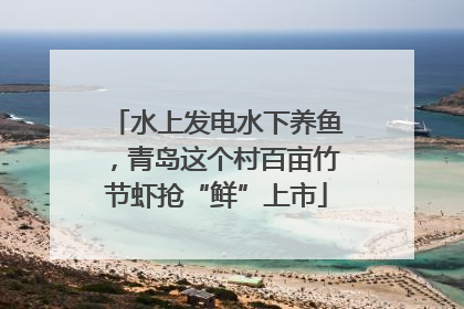 水上发电水下养鱼，青岛这个村百亩竹节虾抢“鲜”上市