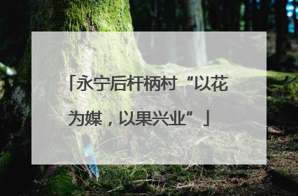 永宁后杆柄村“以花为媒，以果兴业”