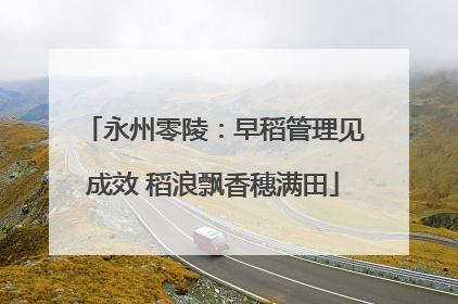 永州零陵：早稻管理见成效 稻浪飘香穗满田