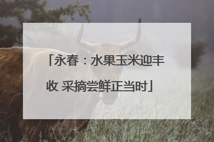 永春：水果玉米迎丰收 采摘尝鲜正当时