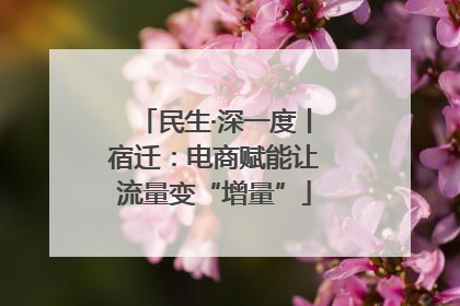 民生·深一度丨宿迁：电商赋能让流量变“增量”