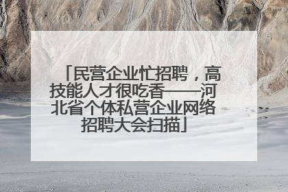 民营企业忙招聘，高技能人才很吃香——河北省个体私营企业网络招聘大会扫描